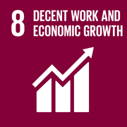 SDG 8